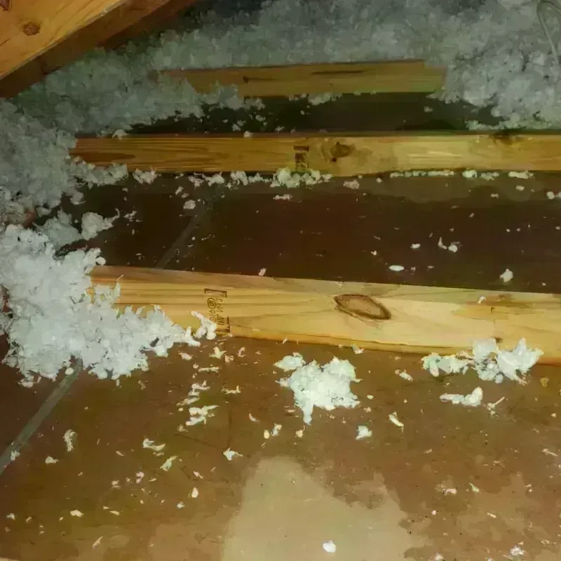 Attic Water Damage in Reading, MI