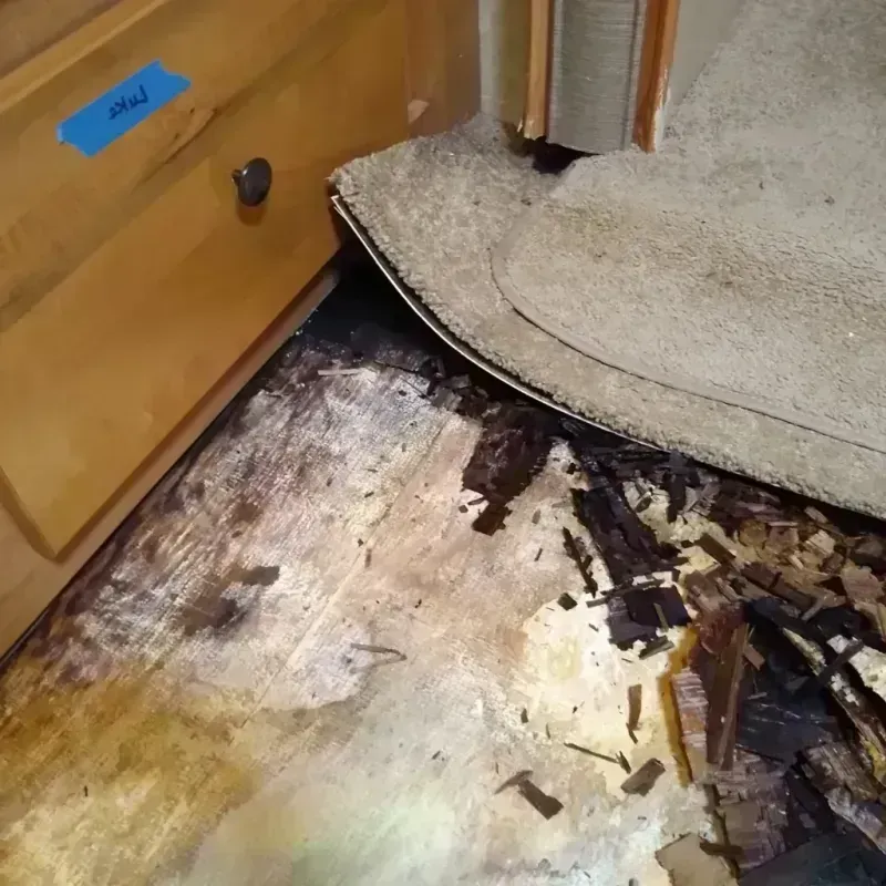 Wood Floor Water Damage in Reading, MI